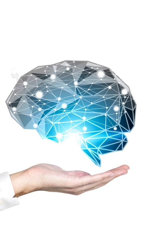 nervenkommunikation 2