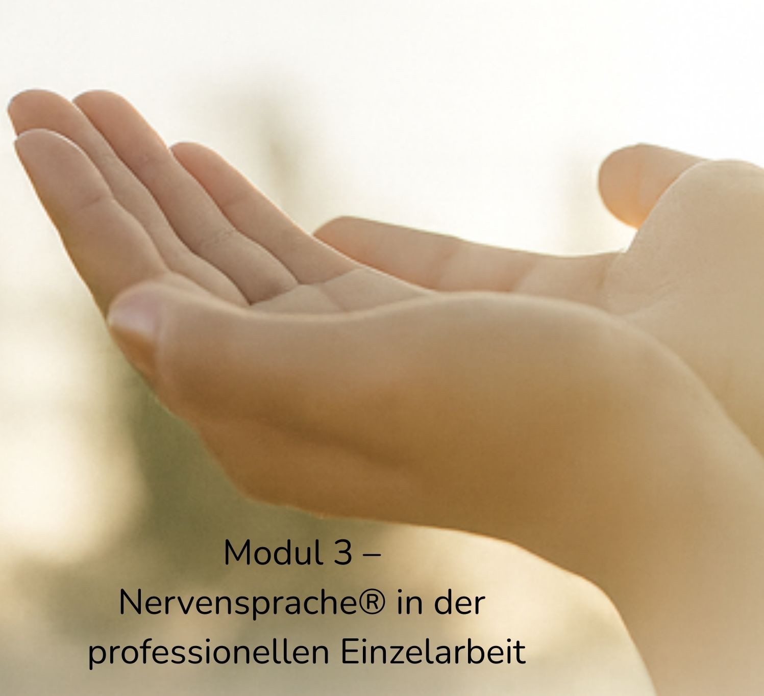 Modul 3 – Integration & sichere Begleitung in Alltag & professioneller Anwendung