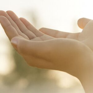 Vorweihnachts Intro (Kopie)